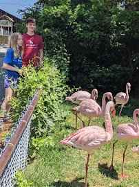 Southwick's Zoo photo 6