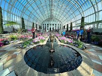 Como Park Zoo & Conservatory photo 3