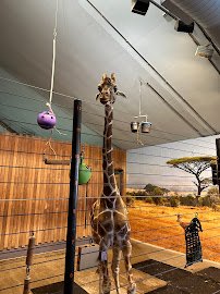 Como Park Zoo & Conservatory photo 5