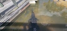 Gator Golf Adventure Park photo 2