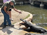 Gator Golf Adventure Park photo 4