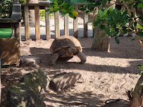 Gator Golf Adventure Park photo 5