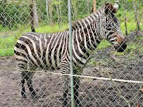 Lynnwood Park Zoo photo 3