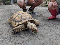 Lynnwood Park Zoo photo 4