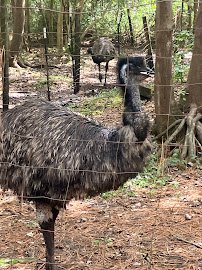 Lynnwood Park Zoo photo 6