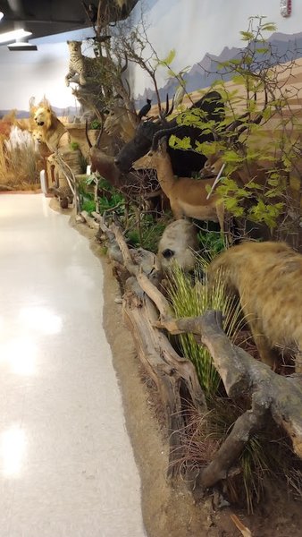 Jurica-Suchy Nature Museum