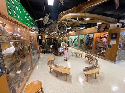 Jurica-Suchy Nature Museum photo 3