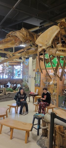 Jurica-Suchy Nature Museum photo 4