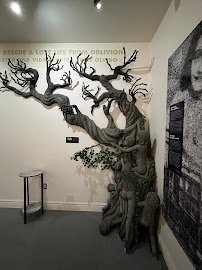 El Paso Holocaust Museum & Study Center photo 5
