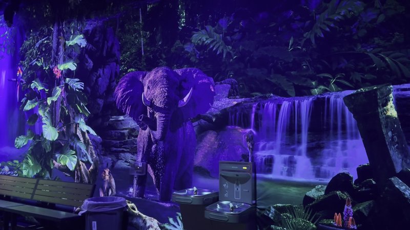 The Rush Funplex photo 2