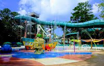 Paradise Island photo 5