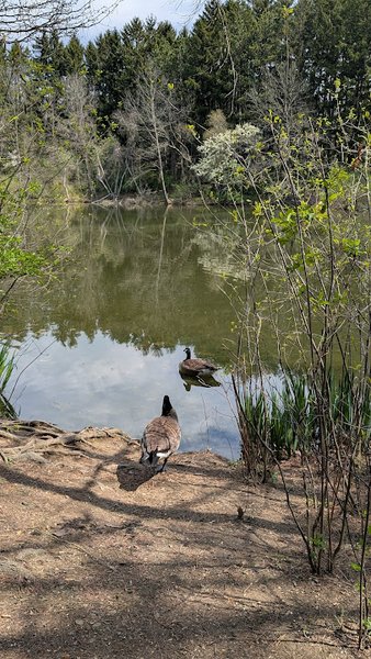 Nature Realm Visitor Center photo 4