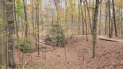 Nature Realm Visitor Center photo 5