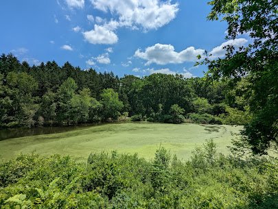 Nature Realm Visitor Center photo 6