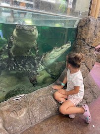 The Reptile Zoo photo 3