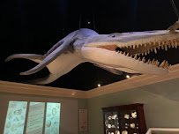 Mayborn Museum Complex photo 4