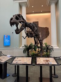 Mayborn Museum Complex photo 5