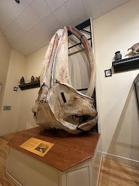 Mayborn Museum Complex photo 6