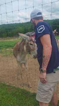 Little crooked creek safari photo 2