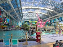 Tropic Falls at OWA photo 5