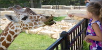 Niabi Zoo