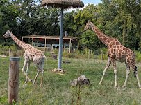 Niabi Zoo photo 3