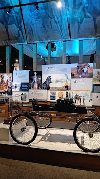 American Saddlebred Museum photo 3