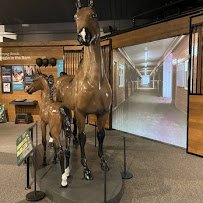 American Saddlebred Museum photo 4