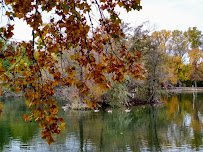 Dillon Nature Center photo 2