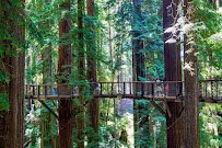 Redwood Sky Walk at Sequoia Park Zoo photo 3