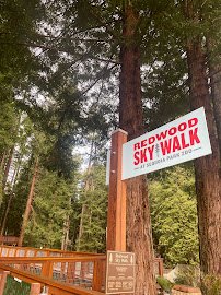 Redwood Sky Walk at Sequoia Park Zoo photo 6