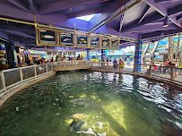 Shark Encounter photo 4