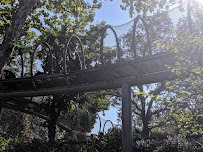 African Forest photo 3