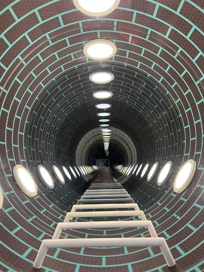 Museum of Illusions - New York photo 5