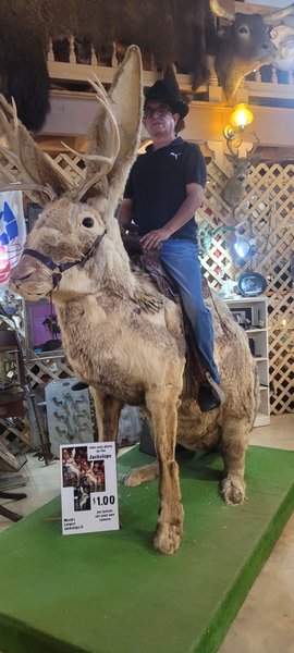 Cowboy Museum