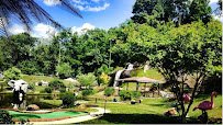 Tropical Gardens Mini Golf