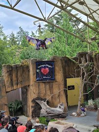 Wild Wonders Outdoor Theater