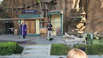 Wild Wonders Outdoor Theater photo 3