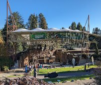 Wild Wonders Outdoor Theater photo 4