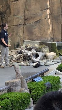 Wild Wonders Outdoor Theater photo 5