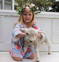 Fifth Day Farm photo 3