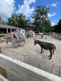 Fifth Day Farm photo 4