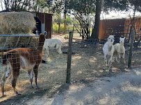 Fifth Day Farm photo 5