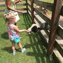 Fort Rickey Discovery Zoo photo 4