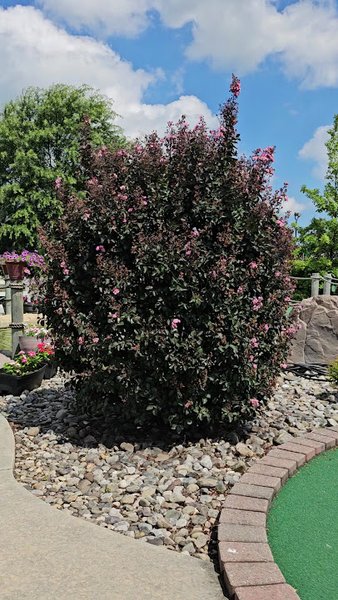 Putters Paradise Mini Golf photo 2