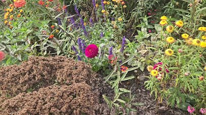 Overland Park Arboretum & Botanical Gardens photo 2