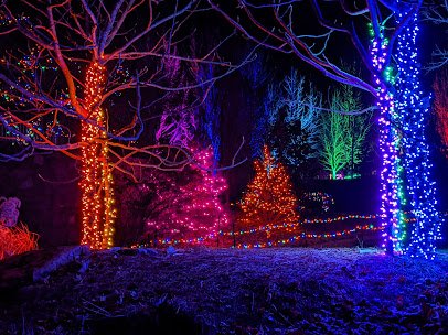 Overland Park Arboretum & Botanical Gardens photo 3