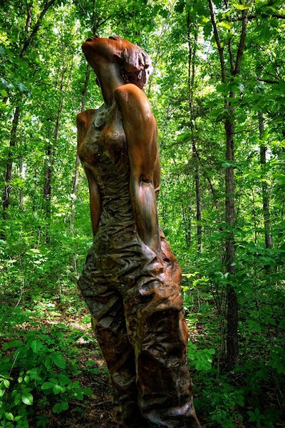 Overland Park Arboretum & Botanical Gardens photo 5