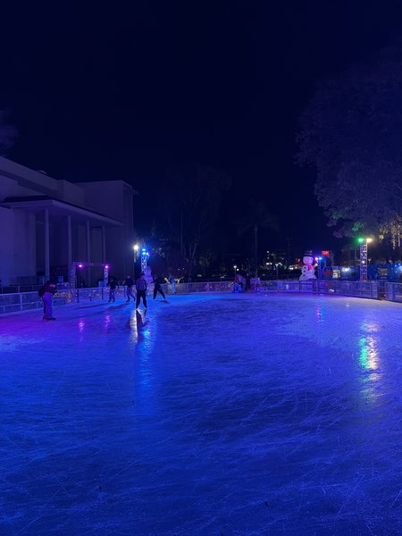 Woodland Hills on Ice photo 4