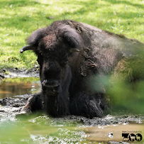 Friends of the Bergen County Zoo photo 2